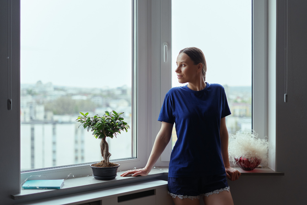  Window Styles